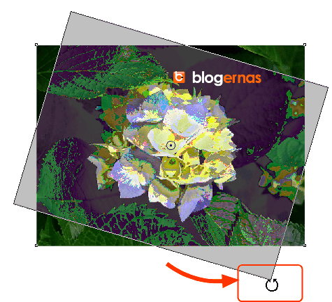Cara Praktis Merotasi Foto dg CorelDraw