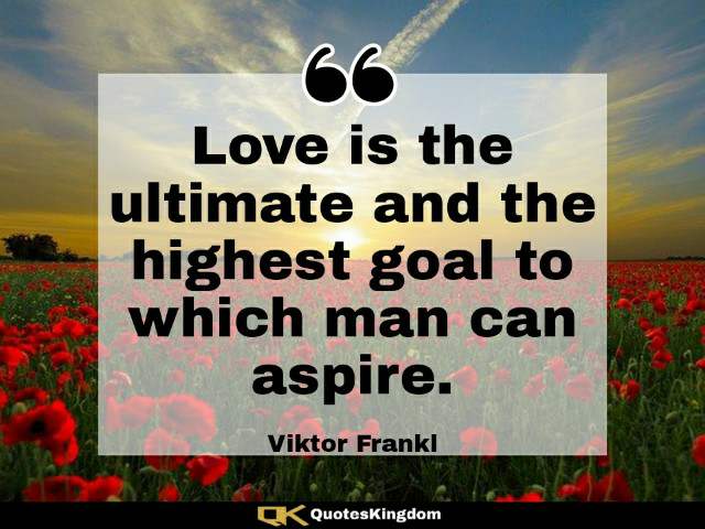 Inspirational love quote. Words on love. Love is the ultimate and the highest goal to ...