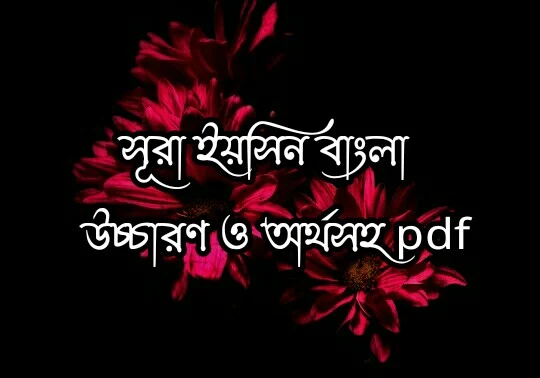 সূরা ইয়াসিন pdf, সুরা ইয়াসিন বাংলা উচ্চারণ সহ pdf, সূরা ইয়াসিন বাংলা উচ্চারণ সহ pdf, সূরা ইয়াসিন বাংলা উচ্চারণ সহ অর্থ pdf, সূরা ইয়াসিন আরবি বাংলা উচ্চারণ pdf, সূরা ইয়াসিন বাংলা উচ্চারণ pdf, সূরা ইয়াসিন pdf file, সূরা ইয়াসিন ডাউনলোড pdf