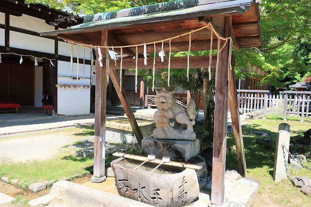 奈良公園 手向山八幡宮