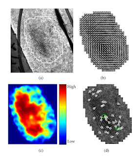 Photo of latent fingerprint analysis