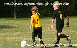Term Life Insurance California
