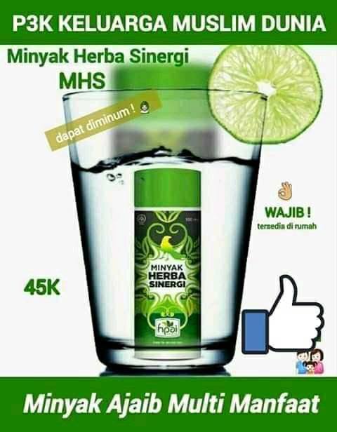 HARGA MINYAK HERBA SINERGI