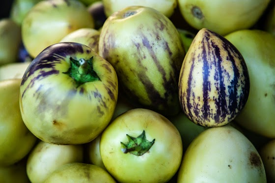 Aneka Manfaat Buah Pepino untuk Kesehatan