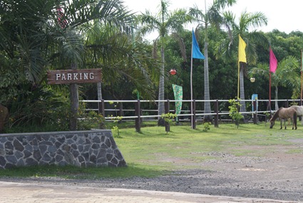 DSC03497