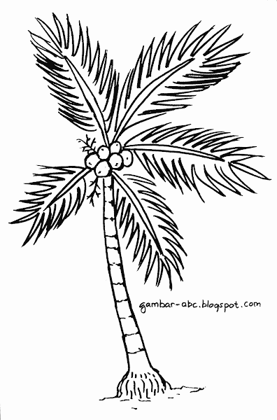 Pohon Kelapa - Contoh Gambar Mewarnai