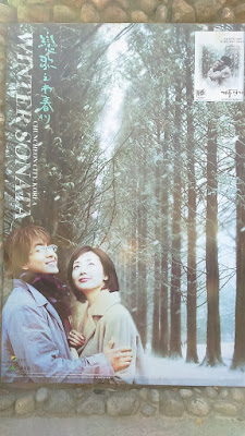 Take Winter Sonata Nami Island Pictures