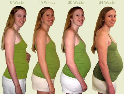 15 weeks pregnant. 6 15 20 24 weeks pregnant