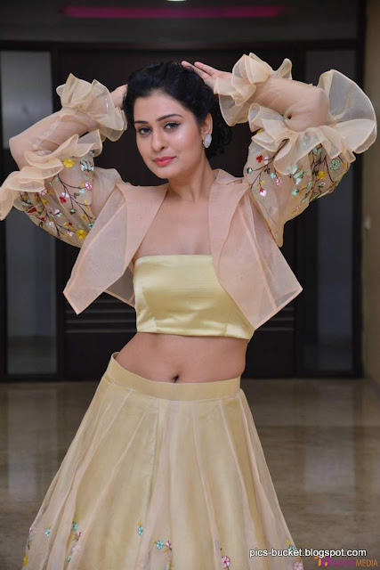 Actress payal rajput hot photos