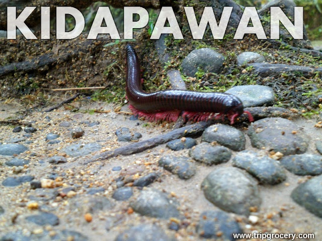 Kidapawan City North Cotabato