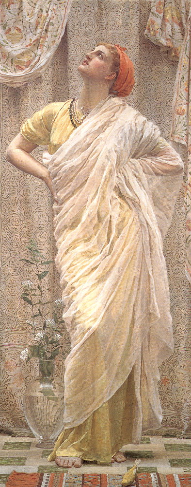 albert moore birds