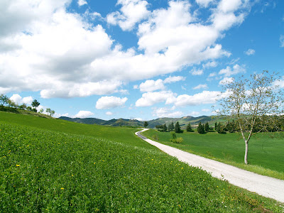 Rocca San Casciano: strada per San Donnino in primavera