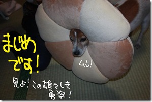 今日カズ１００６２６　４