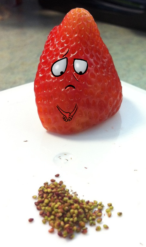 Aus Langeweile alle Samen einer Erdbeere entfernt
