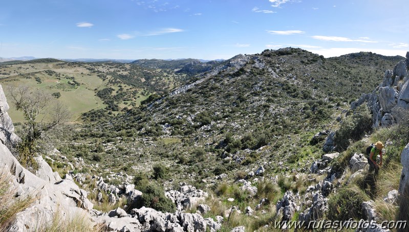 Subida a los Cerros Patagalana y Lajares