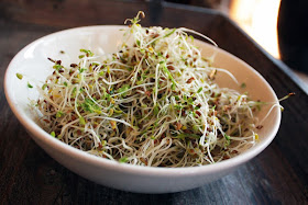 Oppskrift Bønnespirer Vegan Tapas Vegetartapas Meny Bean Sprouts Alfalfa Lime Dressing