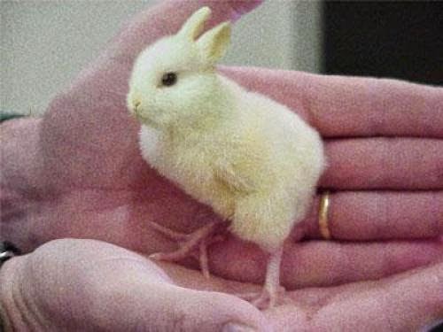 The Mystery Of Easter