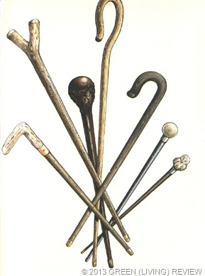 Walking Sticks