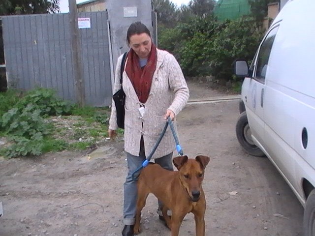 Adopción el 16/01/09 de Danko!