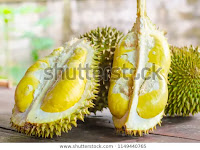 MANFAAT BUAH DURIAN DAN EFEK SAMPING MAKAN BUAH DURIAN