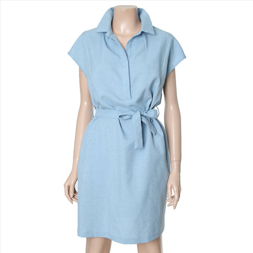 Belted Shirt Dress