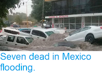 http://sciencythoughts.blogspot.com/2018/06/seven-dead-in-mexico-flooding.html