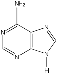 molekul atom N