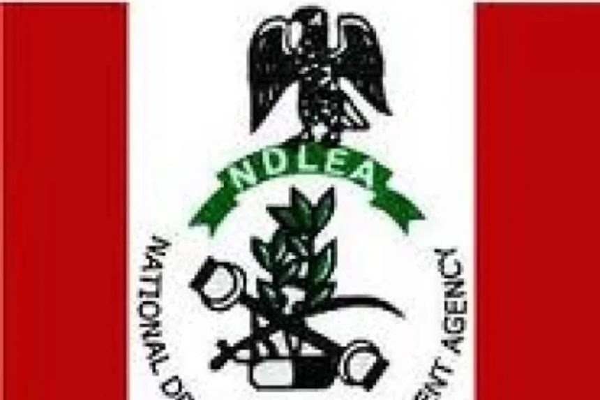 Recruitment: NDLEA releases list of successful candidates, reveals how to check