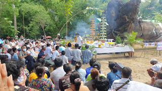 ตะเคียนยักษ์ 700 ปีโผล่น้ำยม