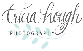 hand lettering, logos, photography logo, logo design, tricia hough photography