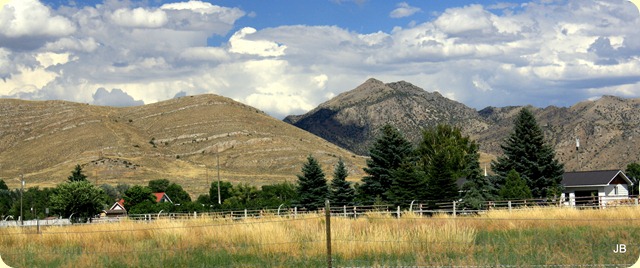 IMG_3626 IMG_3626