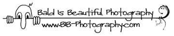 web header may