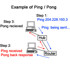 pingの例