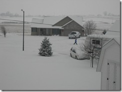 snow2 002