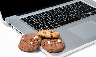 Spiegazione cookie web