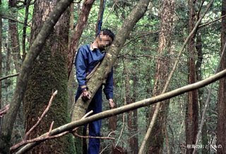 Hutan Aokigahara