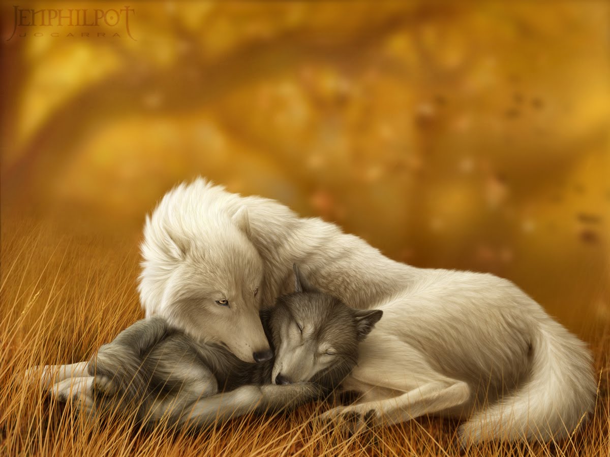 White Wolf : Jen Philpot : Exceptional artist in portraying the love wolves have for each other