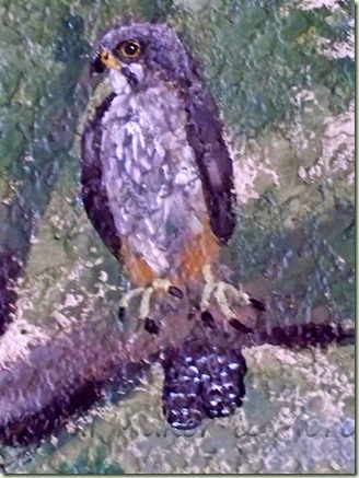 Hawk-Mural-4