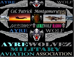 MY AYREWOLF MINI TAG