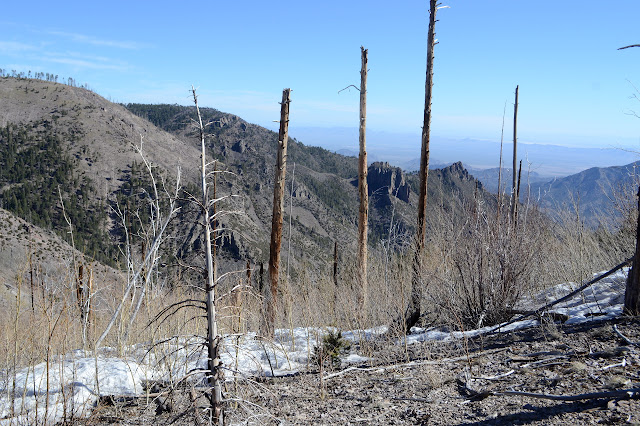 very upper section of the main fork