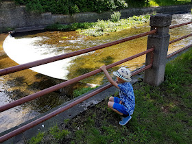 Trutnov - Czechy - atrakcje dla dzieci w Czechach - podróże z dzieckiem - wędrówki z Duchem Gór - miasto smoków -smocza uliczka - blog podrózniczy - knedliki i czeskie piwo