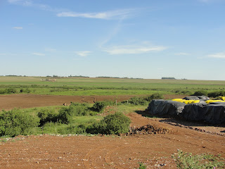 No primeiro plano da foto aparece uma parte do chão, de terra vermelha,sem nenhuma cobertura de grama ou vegetação. No segundo plano um pedaço de gramado, com algumas arvores. Do lado esquerda da foto, aparece um sacos de lixos amarelos cobertos com lona preta. No terceiro plano da foto, aparece uma lavoura de  arroz