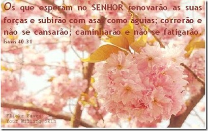 Isaias 40.31.bmp2