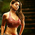 Tamil Actress Nayanthara Hot Navel Show Hd Photo Gallery