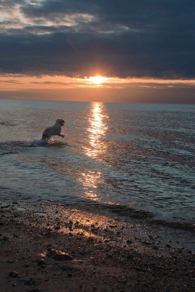 Cape Cod bay sunset