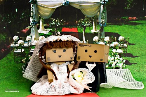 Kumpulan Foto Lucu Danbo Sedih Banget