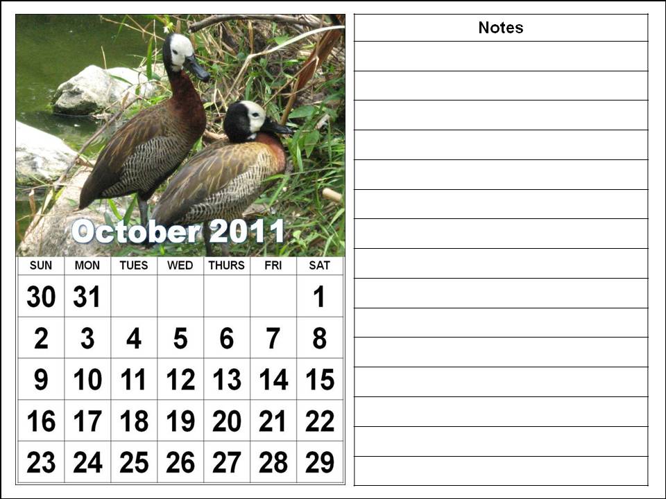 2011 calendar template microsoft. 2011 CALENDAR TEMPLATE EXCEL