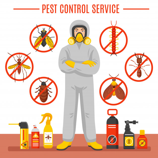 Importance and Benefits of Pest Control