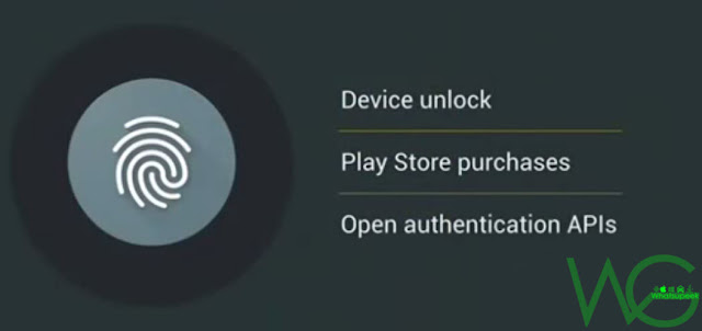 Fingerprint support in android m