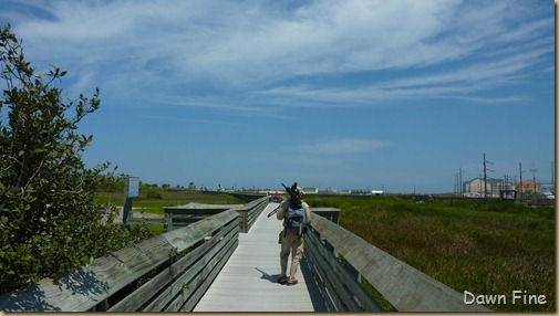 padre island_016